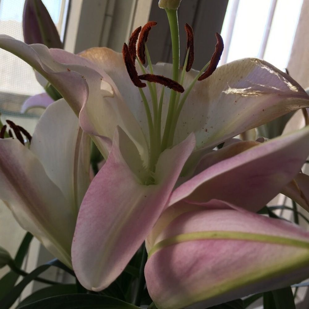 Meet your Posher, Katherine